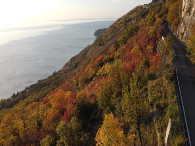 Holiday park Alpine Stay with Balcony - Environment photo 21