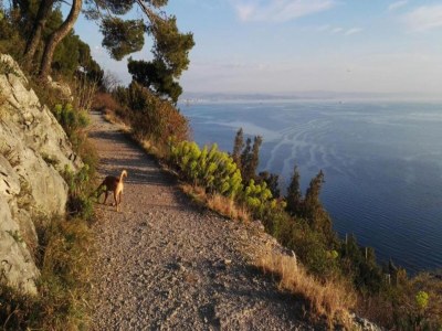 Holiday park Alpine Stay with Balcony - Environment photo 22