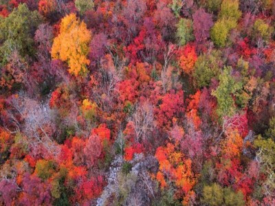 Holiday park Alpine Stay with Balcony - Environment photo 26