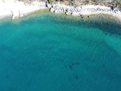 Holiday park Alpine Stay with Balcony - Environment photo 27