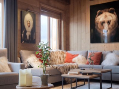 Chalet Chalet in Les Deux Alpes with Heated Pool - Features photo 9