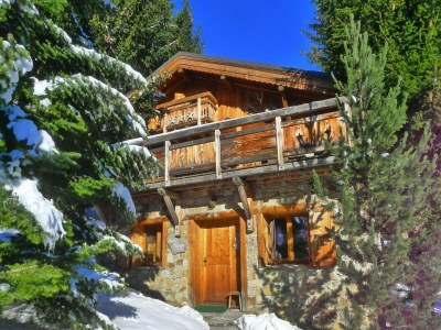 Chalet Chalet in Les Deux Alpes nahe Skilift - Outdoor photo 2