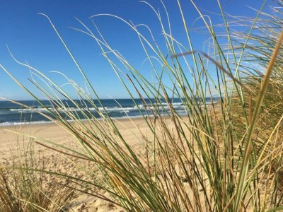 Holiday park Wohnung in Frankreich mit Garten - Environment photo 27