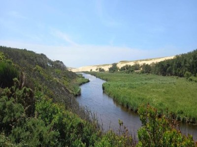 Holiday park Wohnung in Frankreich mit Garten - Environment photo 32