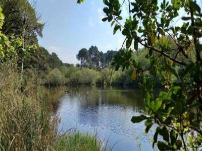 Holiday park Wohnung in Frankreich mit Garten - Environment photo 33