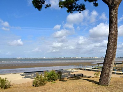 Holiday park Apartment in France near the Atlantic Coast - Environment photo 22