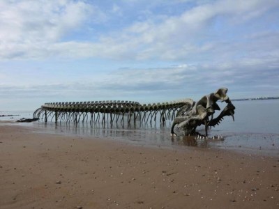 Holiday park Apartment in France near the Atlantic Coast - Environment photo 28