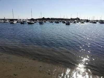 Holiday park Wohnung in La Baule mit Meerblick - Environment photo 26