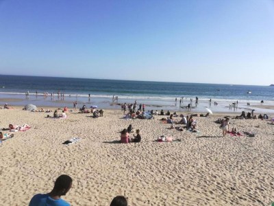 Holiday park Wohnung in La Baule mit Meerblick - Environment photo 31