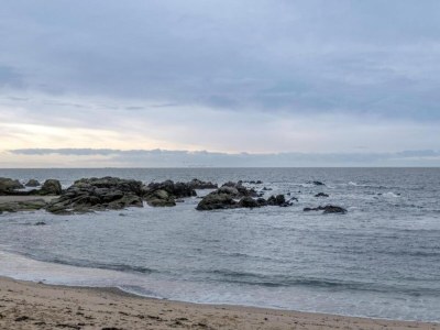 Holiday park Wohnung in Côte Sauvage bei La Baule - Environment photo 27