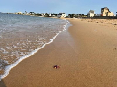 Holiday park Wohnung in Côte Sauvage bei La Baule - Environment photo 29