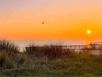 Holiday park Wohnung in Côte Sauvage bei La Baule - Environment photo 31