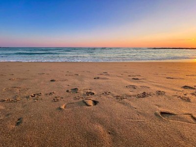 Holiday park Wohnung in Côte Sauvage bei La Baule - Environment photo 39