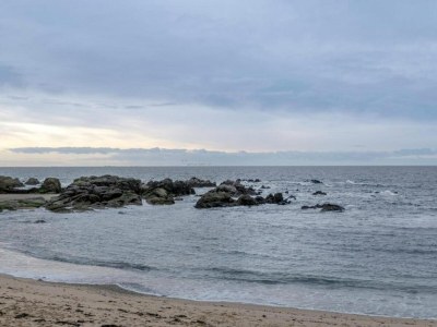 Holiday park Coastal Stay near Salt Marsh Trails - Environment photo 19