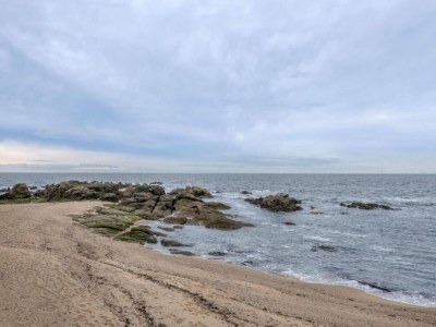 Holiday park Coastal Stay near Salt Marsh Trails - Environment photo 21