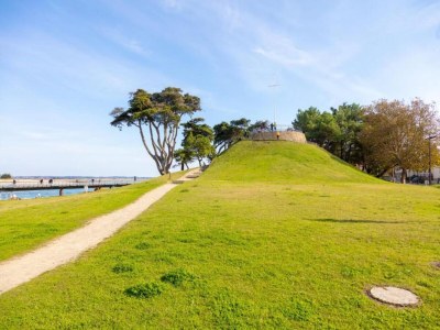 Holiday park Coastal Stay near Salt Marsh Trails - Environment photo 27