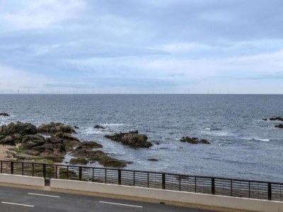 Holiday park Coastal Stay near Salt Marsh Trails - Environment photo 30