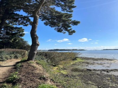 Holiday park Apartment in Bretagne near Morbihan Coast - Environment photo 21