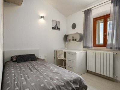 Villa Villa Vista Visinada - Features photo 48