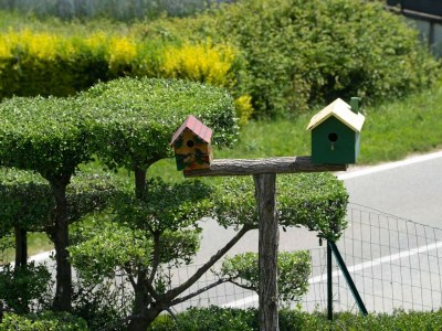 Villa Villa Vista Visinada - Environment photo 51