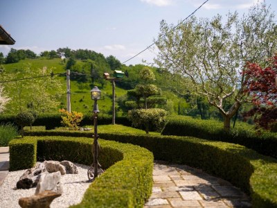 Villa Villa Vista Visinada - Environment photo 53