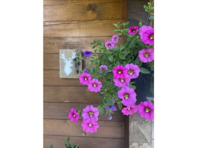 Holiday house Bergliebe - Outdoor photo 9