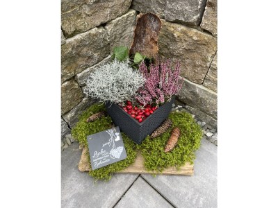 Holiday house Bergliebe - Outdoor photo 11