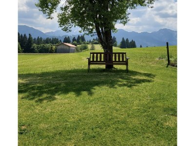 Holiday house Bergliebe - Outdoor photo 13