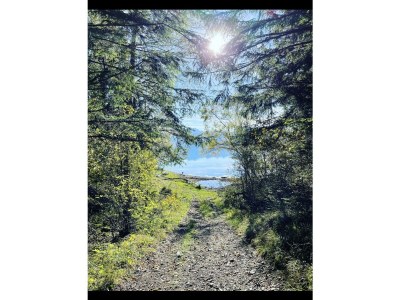 Holiday house Bergliebe - Environment photo 39