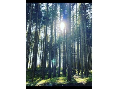 Holiday house Bergliebe - Environment photo 40