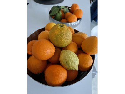 Holiday apartment What a Beautiful View - Outdoor photo 12