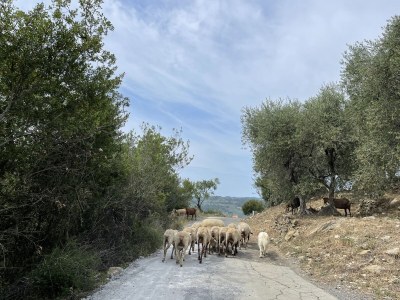 Holiday apartment What a Beautiful View - Environment photo 29