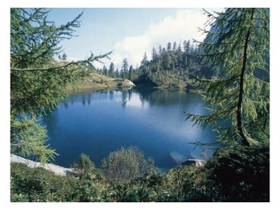 Holiday house Casa Viola - Environment photo 22