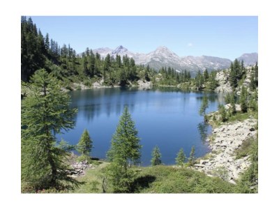 Holiday house Casa Viola - Environment photo 23