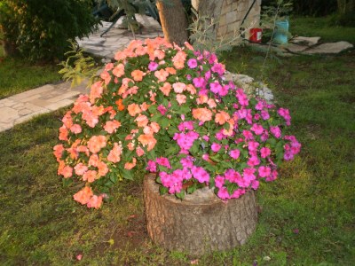 Holiday apartment Licul - Outdoor photo 8