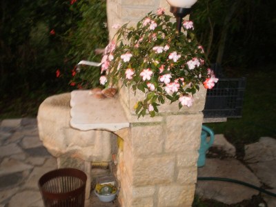 Holiday apartment Licul - Outdoor photo 9