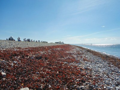 Holiday house Ferienhaus Kleine Freiheit auf Fehmarn - Environment photo 40