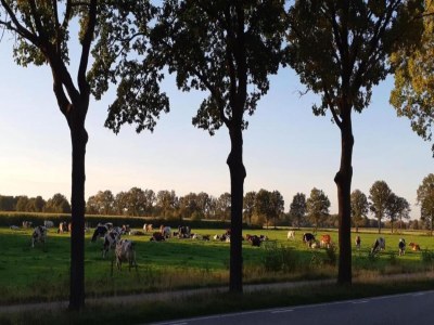 Holiday park Öko-Villa in Latour mit Gartensauna - Environment photo 14