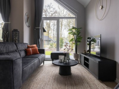 Holiday park Öko-Villa am Waldrand in den Niederlanden - Features photo 3