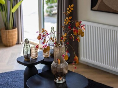 Holiday park Lodge in den Niederlanden mit Terrasse - Outdoor photo 33