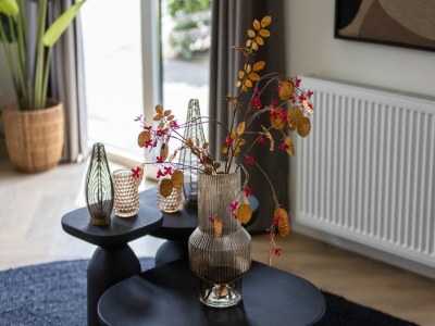 Holiday park Lodge in den Niederlanden mit Terrasse - Outdoor photo 38