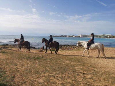 Holiday apartment Top Beach Apartment Marina Park - Environment photo 40