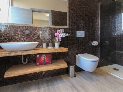 Holiday house Villa Riz with private pool - Features photo 27