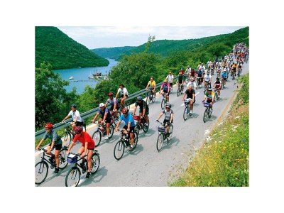 Villa Una with pool - Environment photo 34