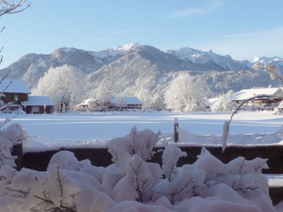 Holiday house The special farm house - Outdoor photo 4