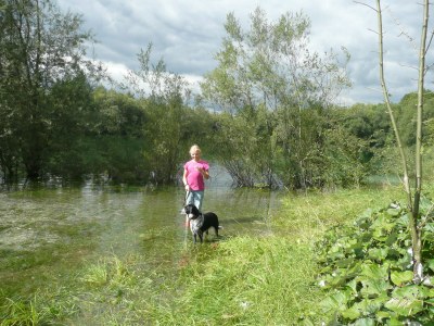 Holiday house The special farm house - Environment photo 13