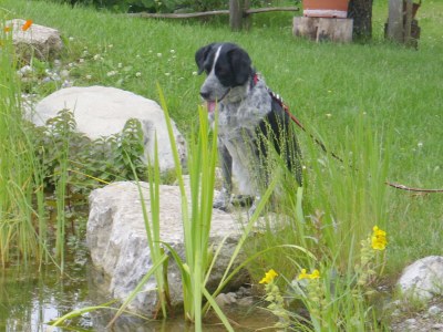 Holiday house The special farm house - Environment photo 14
