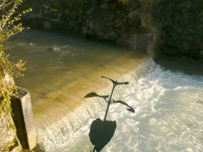 Holiday house The special farm house - Environment photo 18