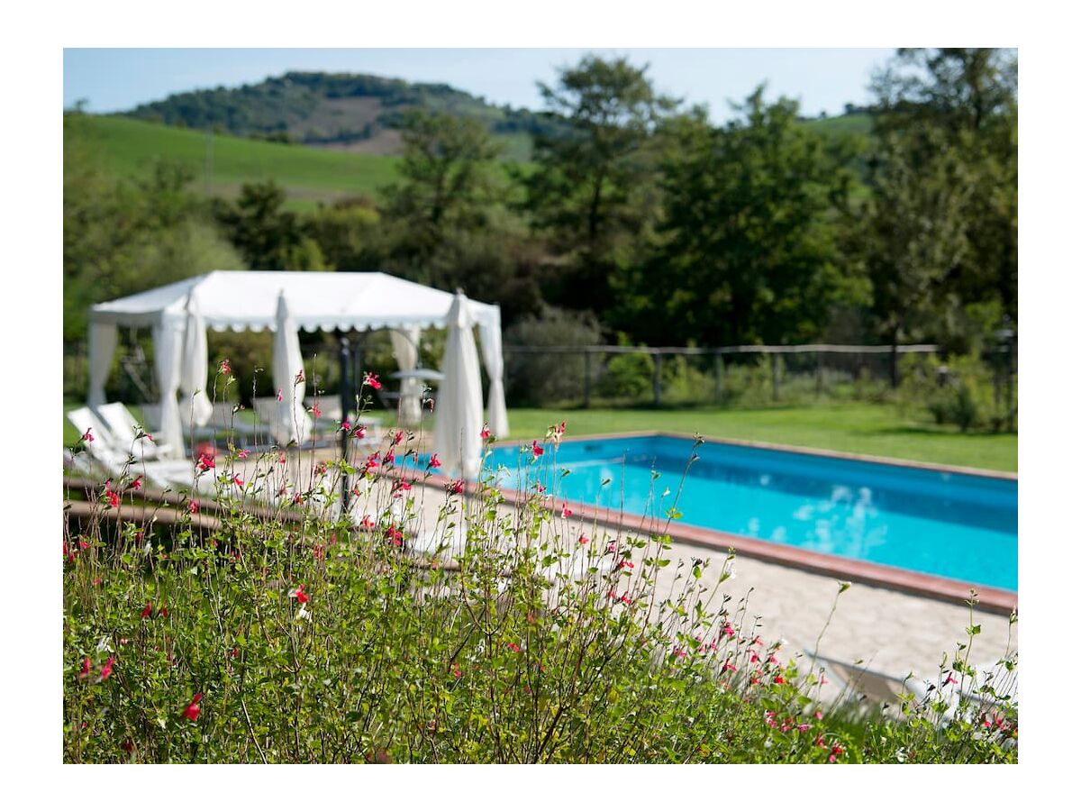 Holiday apartment Casole - Outdoor photo 4