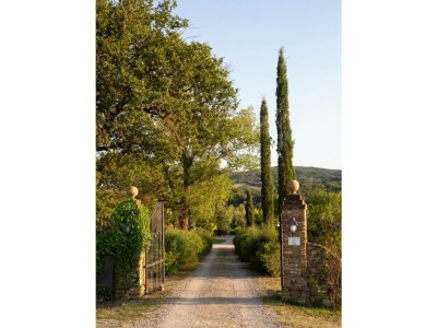 Holiday apartment Casole - Outdoor photo 2